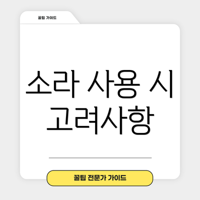 소라 사용 시 고려사항
