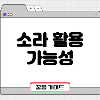 소라 활용 가능성