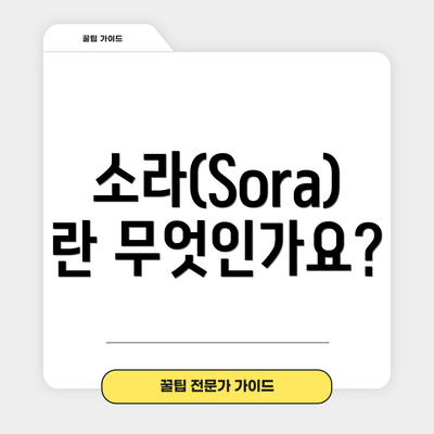 소라(Sora)란 무엇인가요?