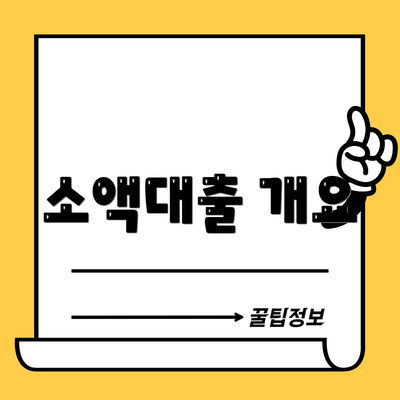 소액대출 개요