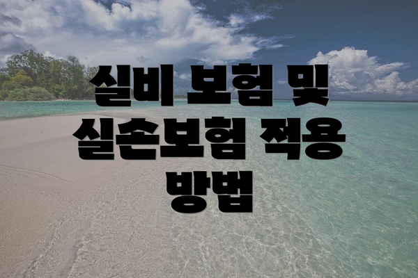실비 보험 및 실손보험 적용 방법