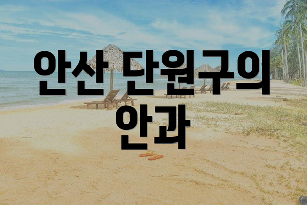안산 단원구의 안과