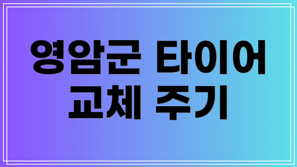 영암군 타이어 교체 주기