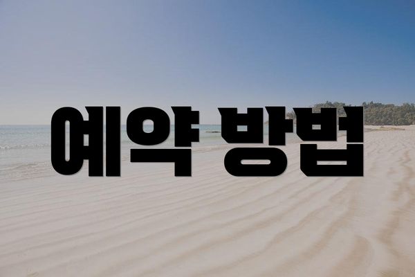 예약 방법
