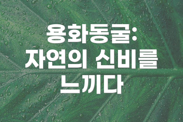 용화동굴: 자연의 신비를 느끼다