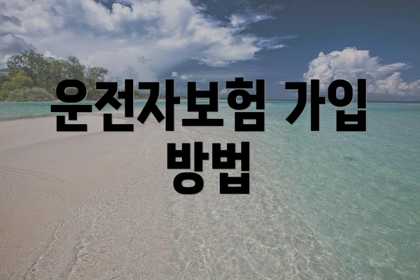 운전자보험 가입 방법