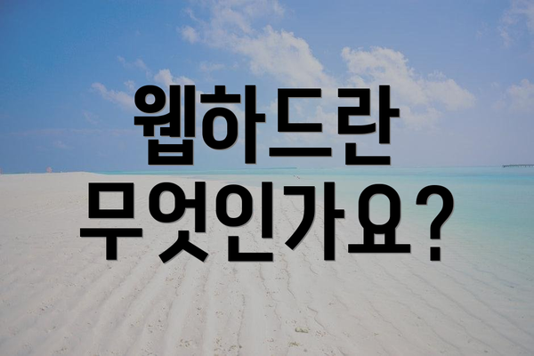 웹하드란 무엇인가요?