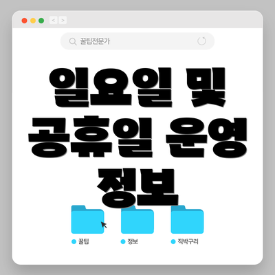 일요일 및 공휴일 운영 정보