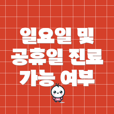 일요일 및 공휴일 진료 가능 여부
