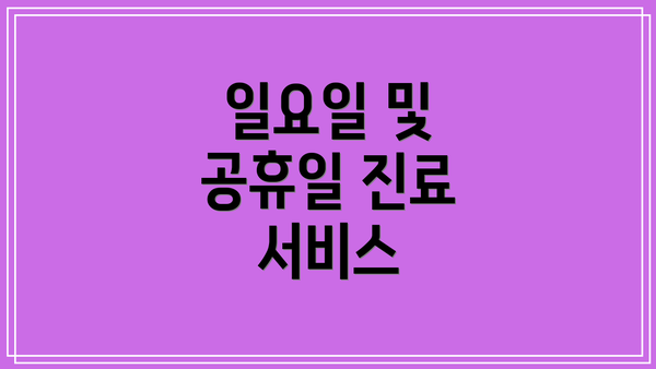 일요일 및 공휴일 진료 서비스