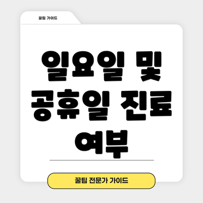 일요일 및 공휴일 진료 여부