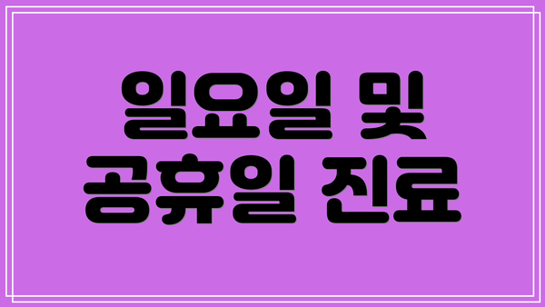 일요일 및 공휴일 진료
