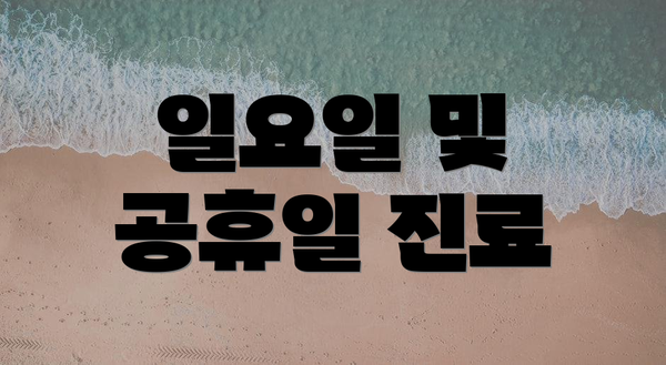 일요일 및 공휴일 진료
