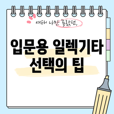 입문용 일렉기타 선택의 팁