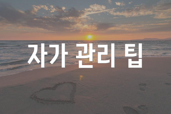 자가 관리 팁