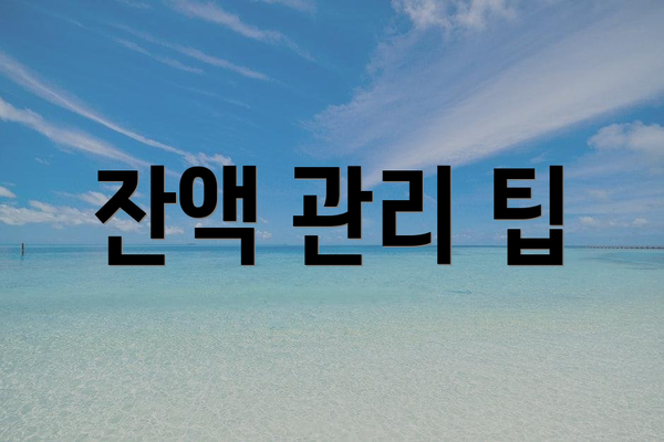 잔액 관리 팁