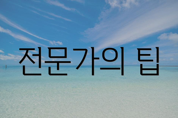 전문가의 팁