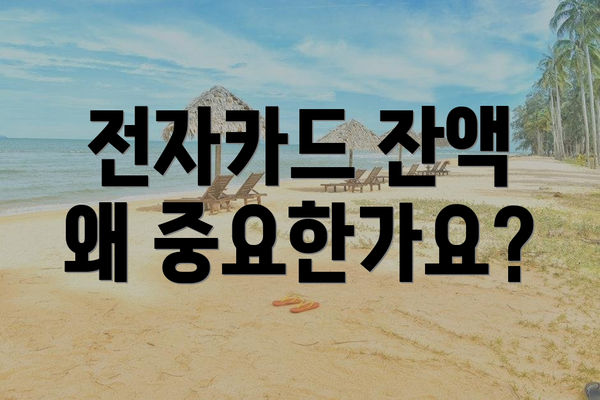 전자카드 잔액 왜 중요한가요?