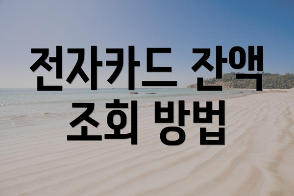 전자카드 잔액 조회 방법