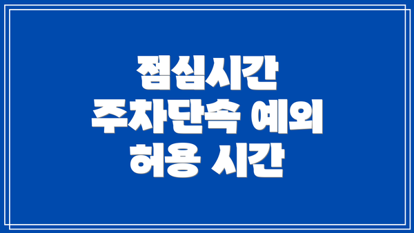 점심시간 주차단속 예외 허용 시간