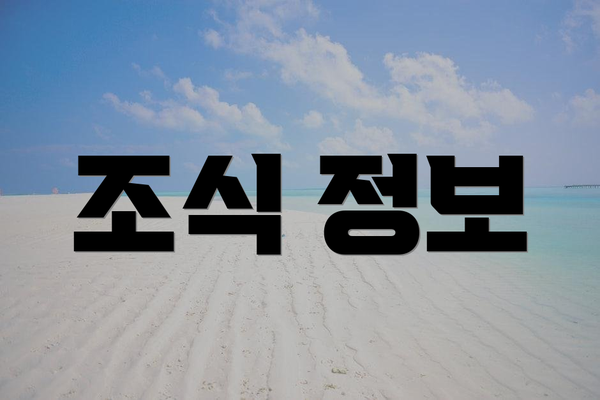 조식 정보