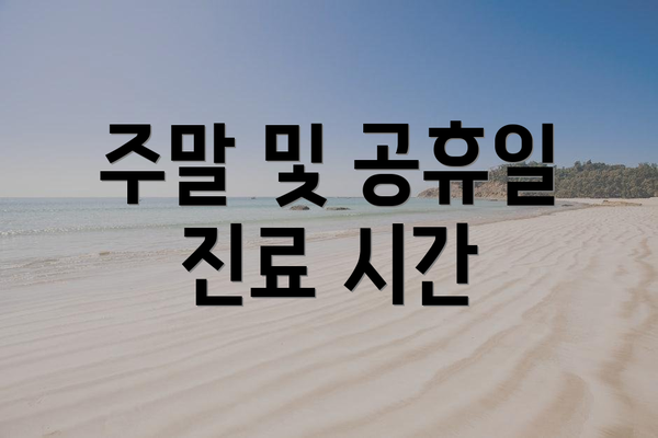 주말 및 공휴일 진료 시간