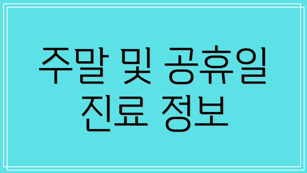 주말 및 공휴일 진료 정보