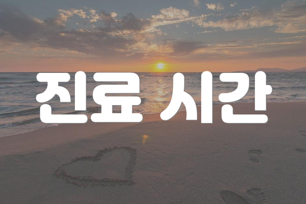 진료 시간