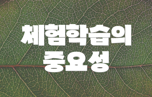 체험학습의 중요성