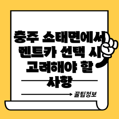 충주 소태면에서 렌트카 선택 시 고려해야 할 사항
