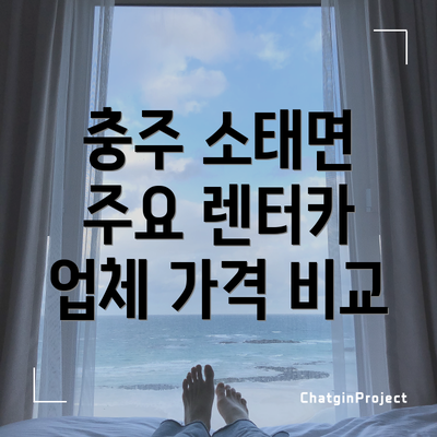 충주 소태면 주요 렌터카 업체 가격 비교