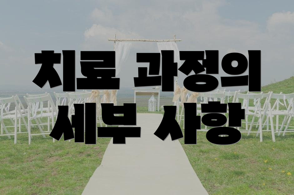 치료 과정의 세부 사항