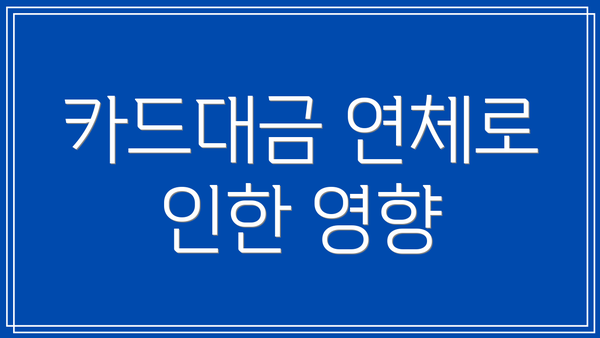 카드대금 연체로 인한 영향