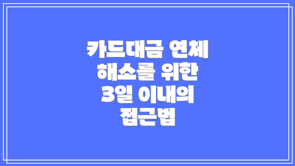 카드대금 연체 해소를 위한 3일 이내의 접근법