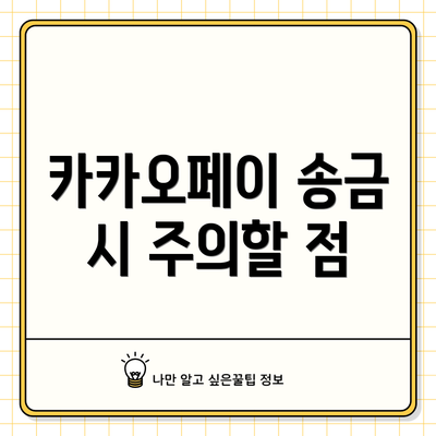 카카오페이 송금 시 주의할 점
