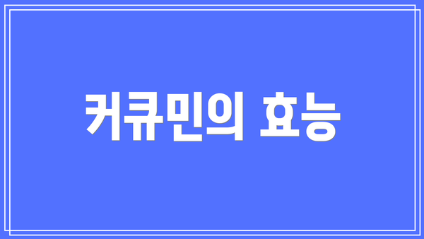 커큐민의 효능