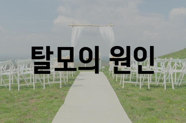 탈모의 원인