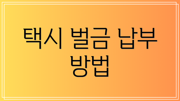 택시 벌금 납부 방법