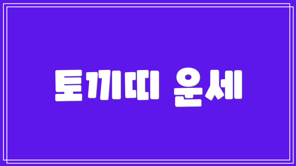 토끼띠 운세