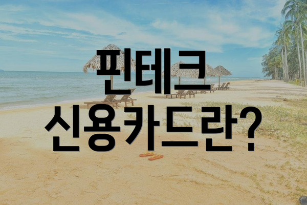 핀테크 신용카드란?