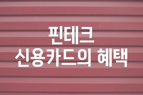 핀테크 신용카드의 혜택