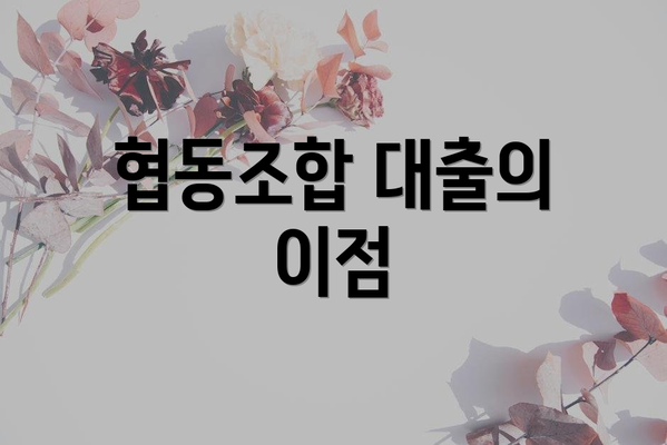 협동조합 대출의 이점