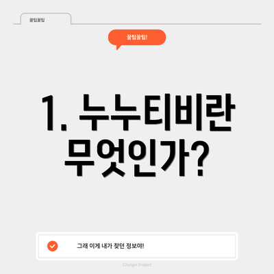 1. 누누티비란 무엇인가?