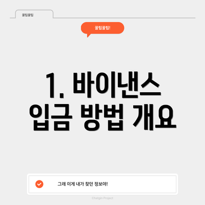 1. 바이낸스 입금 방법 개요