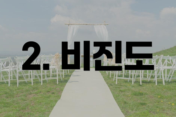 2. 비진도