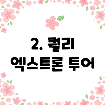 2. 퀄리 엑스트론 투어