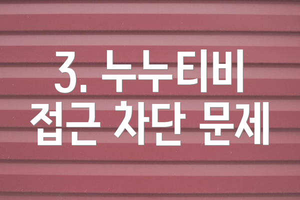 3. 누누티비 접근 차단 문제