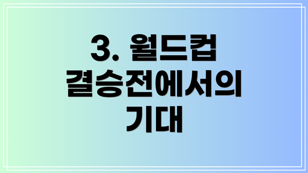 3. 월드컵 결승전에서의 기대