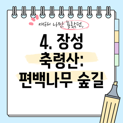 4. 장성 축령산: 편백나무 숲길